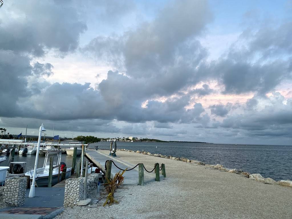 Whale Harbor Marina | restaurant | 83413 Overseas Hwy, Islamorada, FL 33036, USA | 3056644511 OR +1 305-664-4511