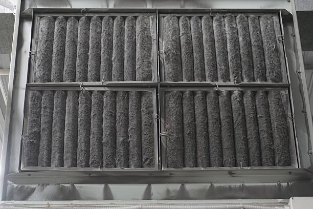 V. TCare | restaurant | 2558 Vía Tejon, Palos Verdes Estates, CA 90274, USA | 4243444217 OR +1 424-344-4217