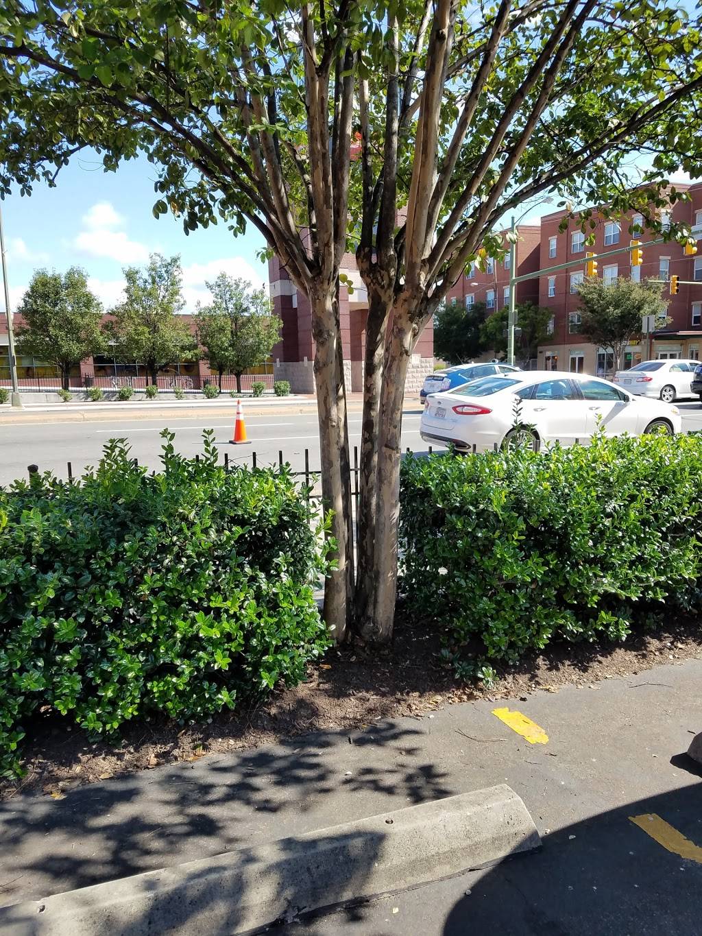 Subway | restaurant | 1110 W Broad St, Richmond, VA 23220, USA | 8043550433 OR +1 804-355-0433