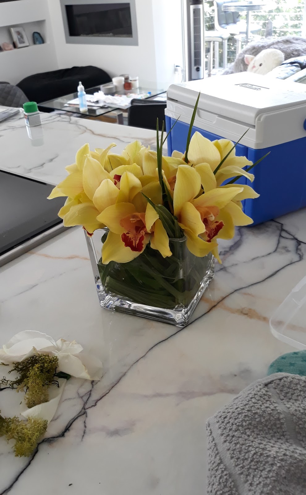 Scotts Donuts & Cafe | bakery | 27500 Marguerite Pkwy #3, Mission Viejo, CA 92692, USA | 9493642263 OR +1 949-364-2263