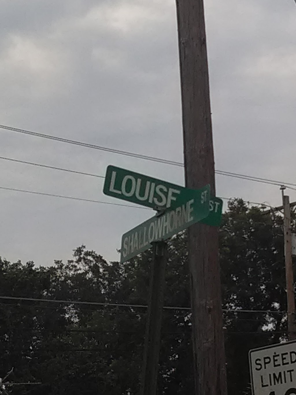 Barbecue Haven | restaurant | 732 Louise St, Mansfield, LA 71052, USA | 3188720329 OR +1 318-872-0329