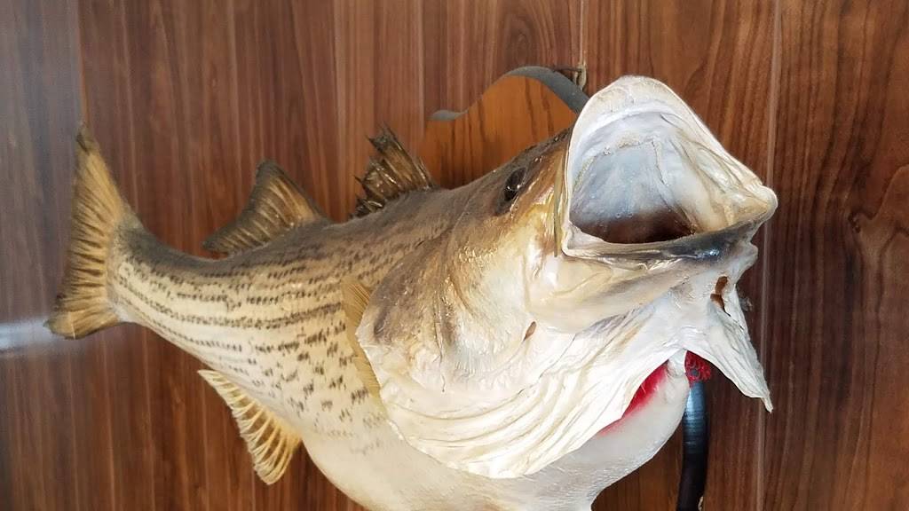 Armandos Restaurant | restaurant | 7032 Lee Hwy, Chattanooga, TN 37421, USA | 4238550772 OR +1 423-855-0772