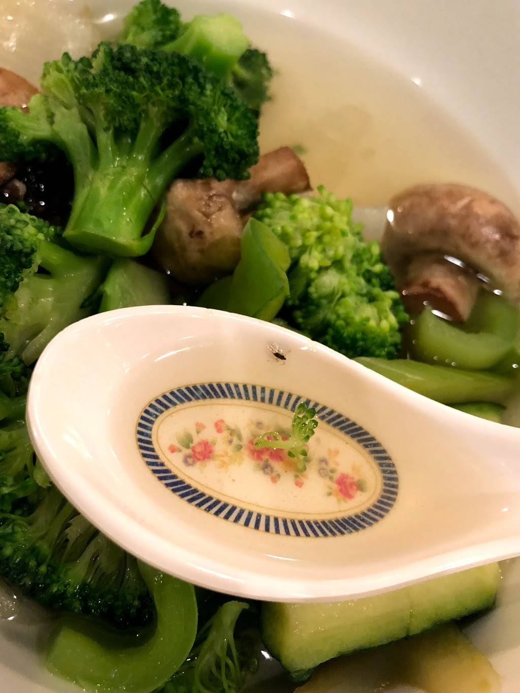 China Wok Express | restaurant | 15020 Harlan Rd, Lathrop, CA 95330, USA | 2098589181 OR +1 209-858-9181