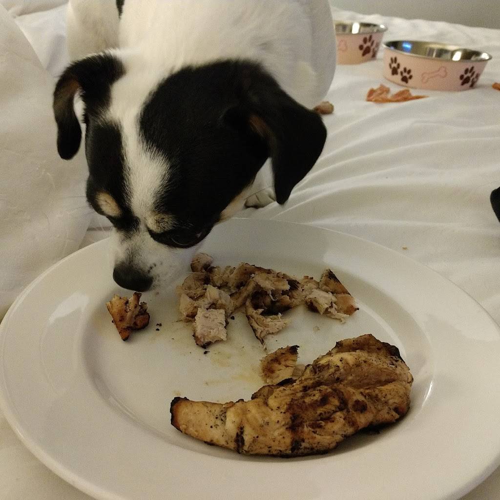 Bayfront Grille | restaurant | Erie, PA 16507, USA | 8144542005 OR +1 814-454-2005