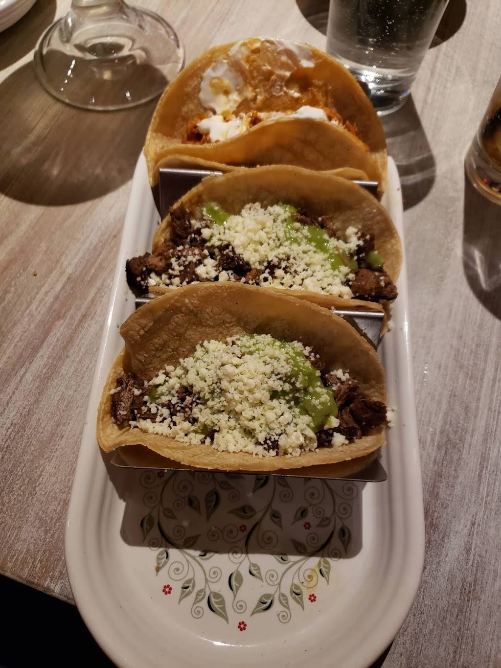 Fat Rosies Taco & Tequila Bar | restaurant | 870 N Meacham Rd, Schaumburg, IL 60173, USA | 8478072850 OR +1 847-807-2850