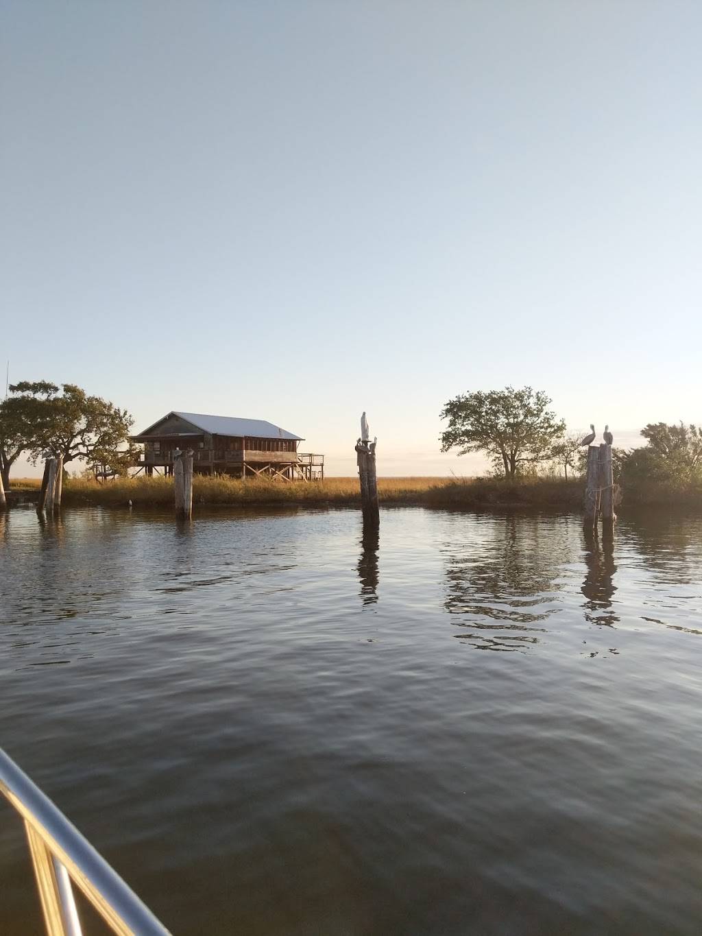 Harbor Light Marina | restaurant | 8239 LA-56, Chauvin, LA 70344, USA | 9854663167 OR +1 985-466-3167