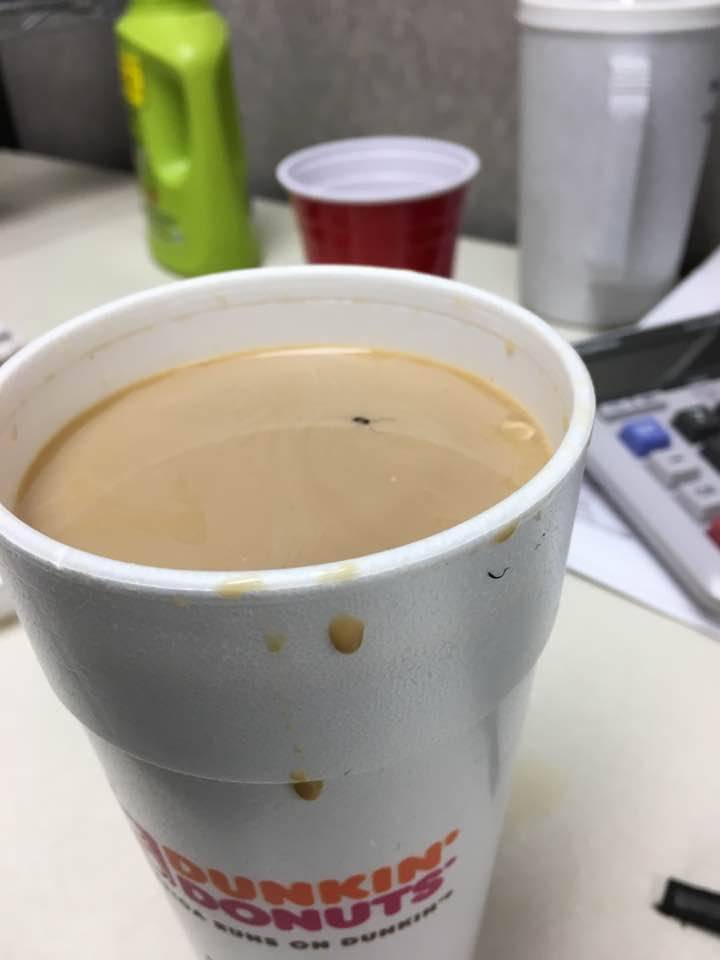 Dunkin Donuts | cafe | 11200 4th St N, St. Petersburg, FL 33716, USA | 7279544522 OR +1 727-954-4522