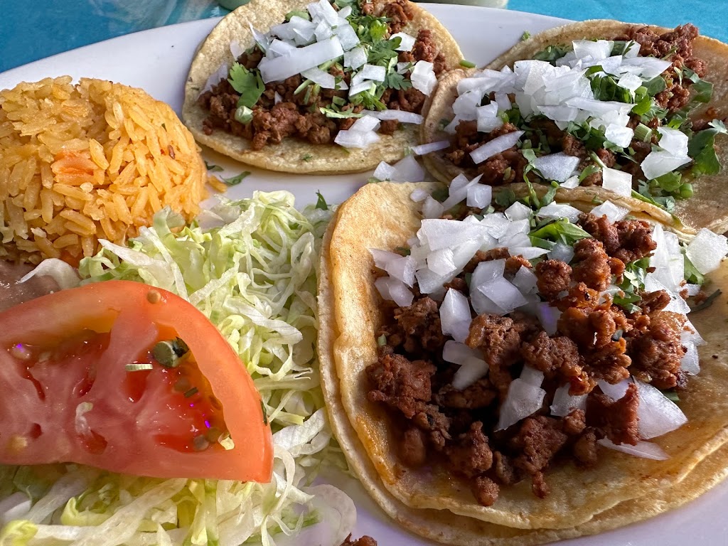 El Camaleon Bar & Grill | restaurant | 103 N Ottawa St, Joliet, IL 60432, USA | 8155502700 OR +1 815-550-2700