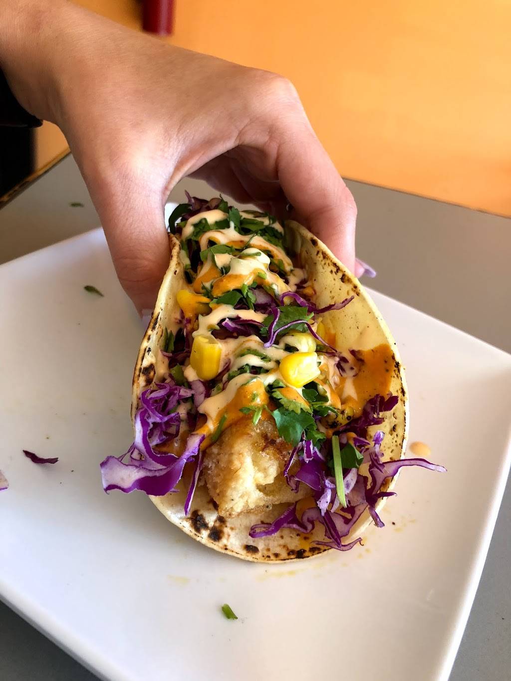 A-Mari-Mix Fresh Mex Fusion + Ice Cream | meal takeaway | 9700 SW 24th St d, Miami, FL 33165, USA | 3056039134 OR +1 305-603-9134