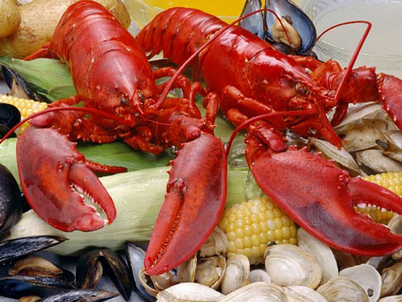 Falmouth Fish Market | restaurant | 157 Teaticket Hwy, Teaticket, MA 02536, USA | 5085400045 OR +1 508-540-0045