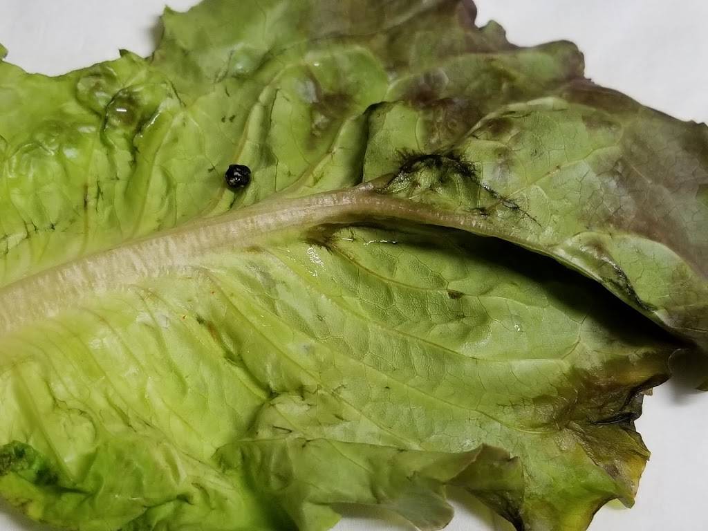 Mapo | restaurant | 3395 El Camino Real, Santa Clara, CA 95051, USA | 4089848005 OR +1 408-984-8005