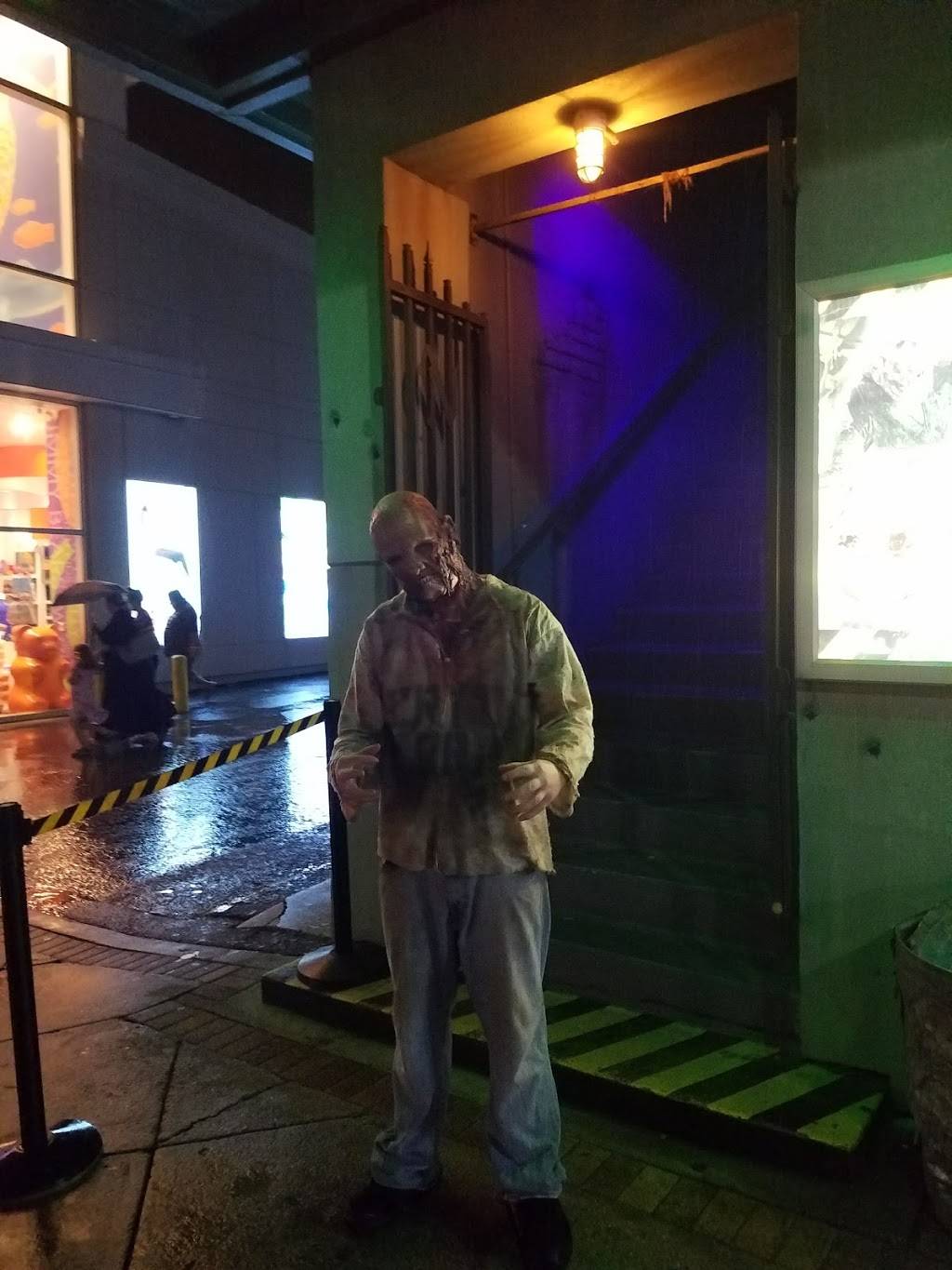 Myrtle Beach Boardwalk Rental | restaurant | 1200 Ocean Blvd #701, Myrtle Beach, SC 29577, USA | 9199091533 OR +1 919-909-1533