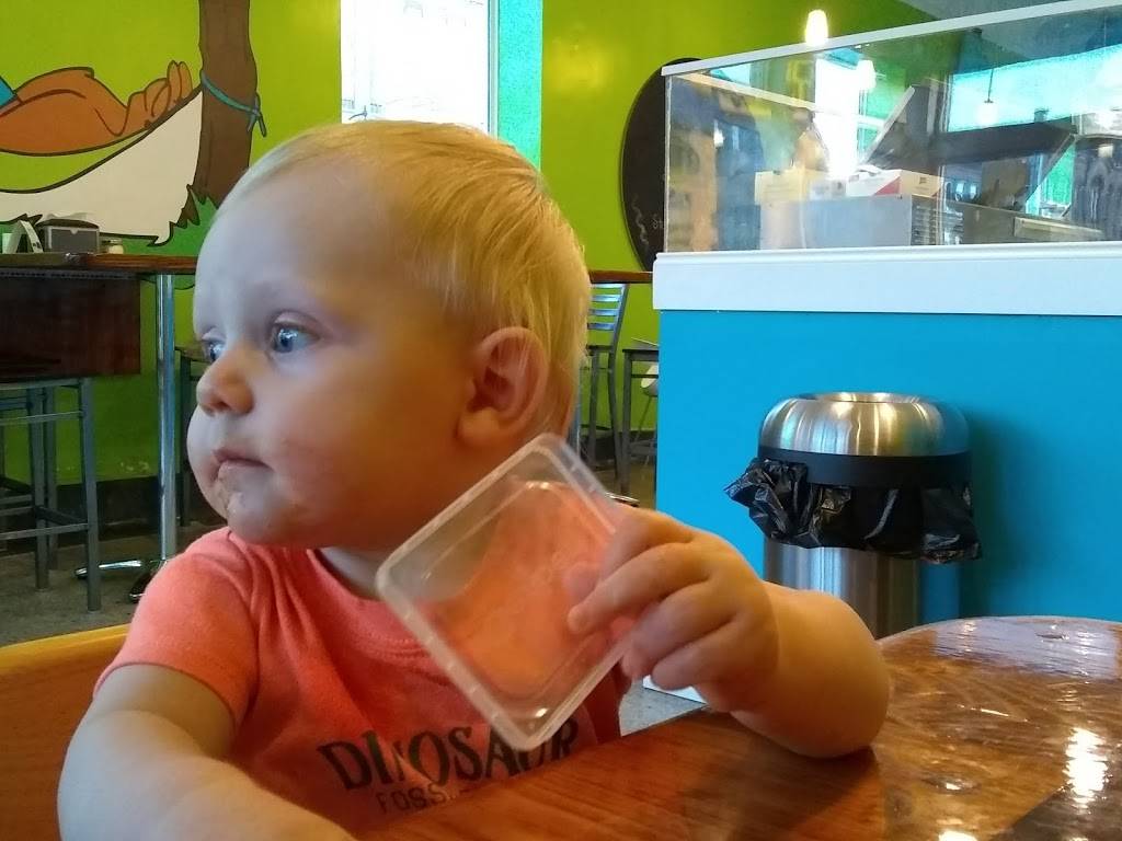 The Blue Moose | restaurant | 102 W Main St, Delphi, IN 46923, USA | 7652017011 OR +1 765-201-7011