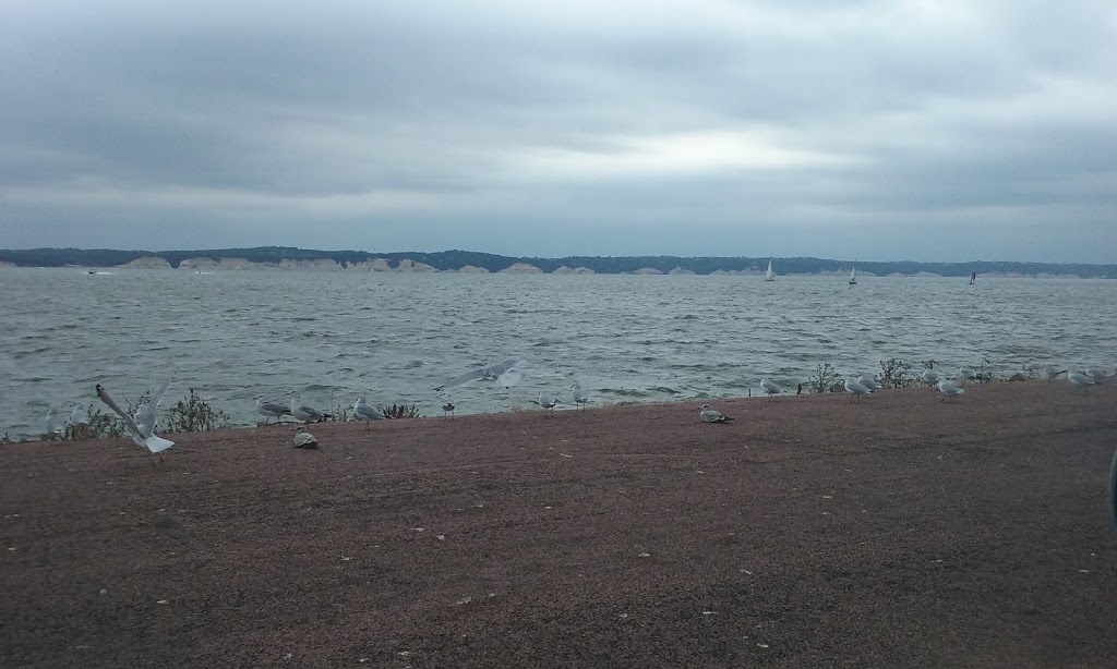 Marina Grill | restaurant | 43497 Shore Dr, Yankton, SD 57078, USA | 6056892111 OR +1 605-689-2111