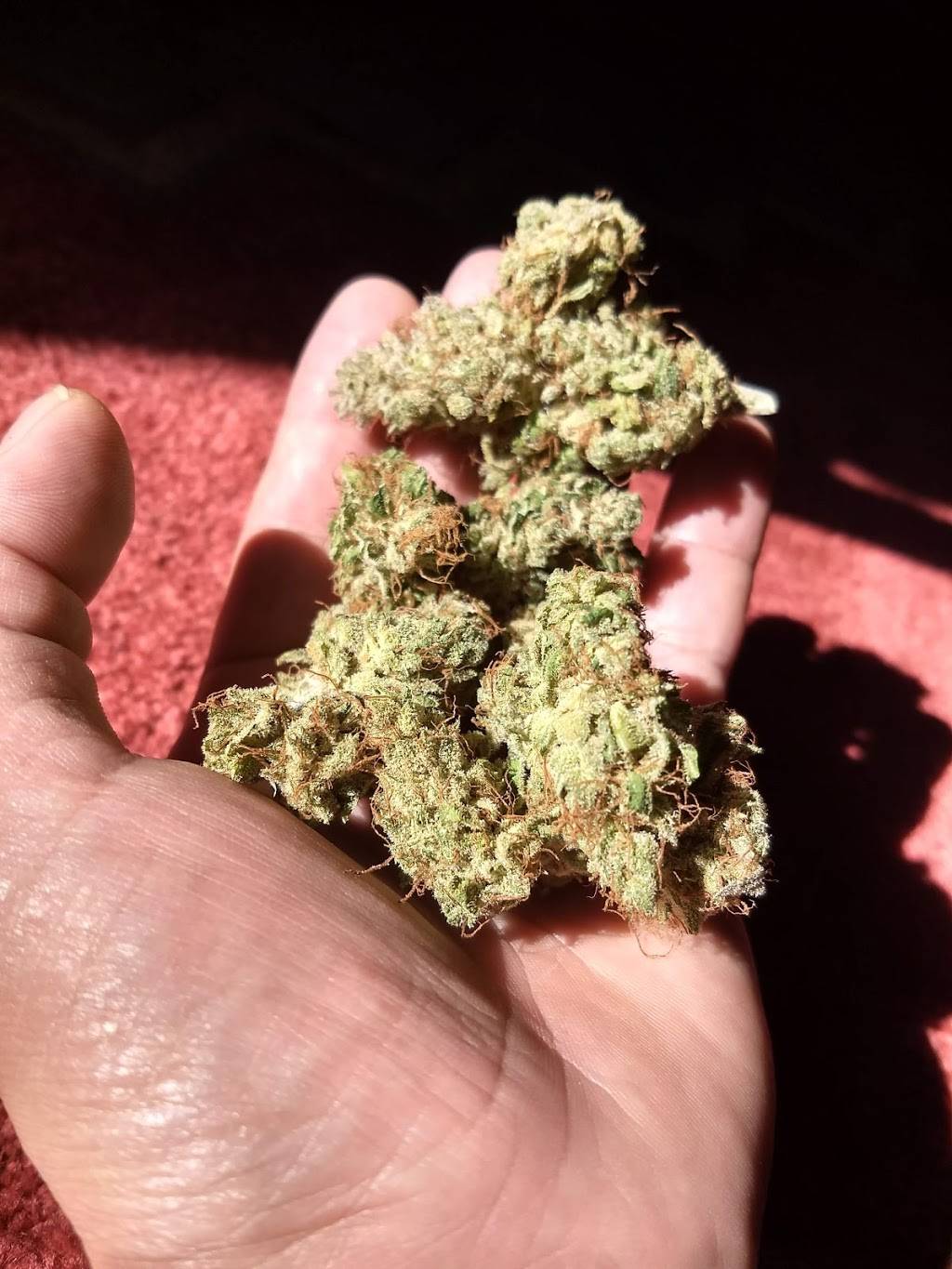 Jack in the Box | restaurant | 6080 Mission Gorge Rd, San Diego, CA 92120, USA | 6193251799 OR +1 619-325-1799