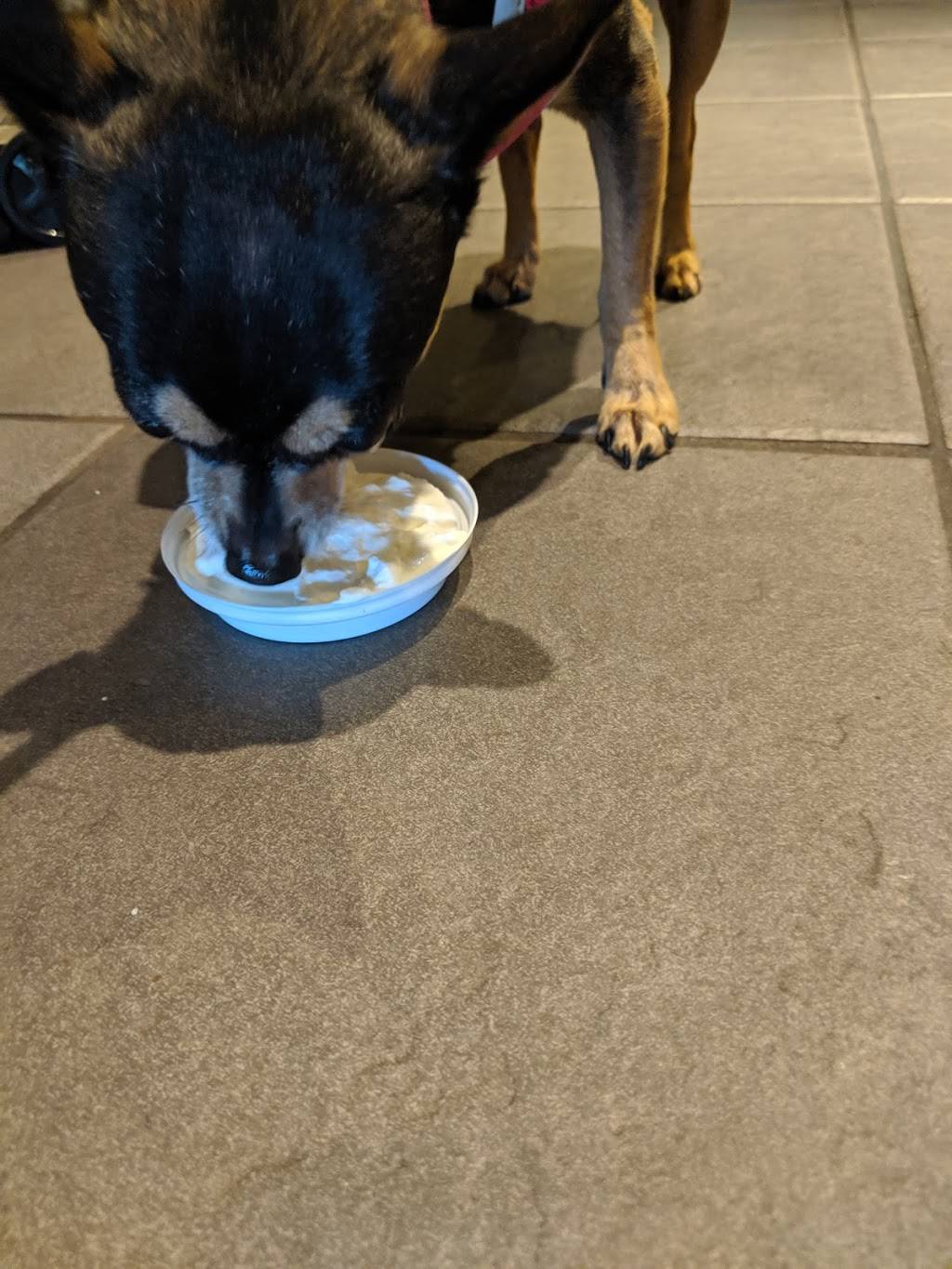 Starbucks | cafe | 1942 Middle Country Rd, Centereach, NY 11720, USA | 6315858462 OR +1 631-585-8462