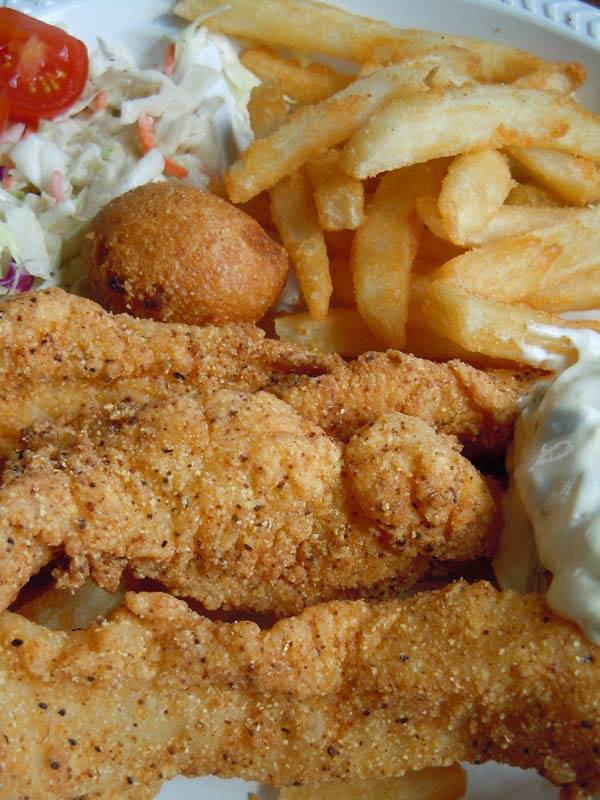 The Concert Pub North | restaurant | 2470 Cypress Creek Pkwy, Houston, TX 77068, USA | 2815838111 OR +1 281-583-8111