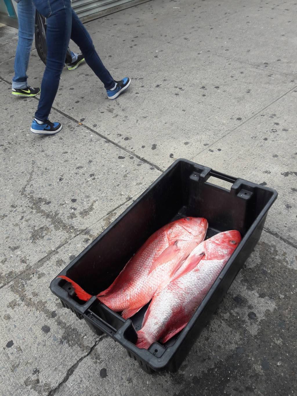 Santos Fish Market | restaurant | 2859 White Plains Rd, The Bronx, NY 10467, USA | 7185470147 OR +1 718-547-0147