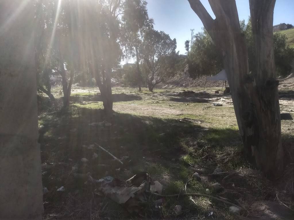 Birrieria Jalisco | restaurant | Club de Leones 12518, La Gloria, 22645 La Joya, B.C., Mexico | 016643316051 OR +52 664 331 6051