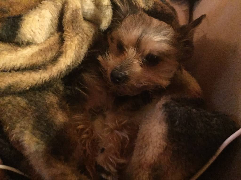 Mr.Sub | restaurant | 364 Lakeshore Rd E, Mississauga, ON L5G 1H6, Canada | 2898651200 OR +1 289-865-1200