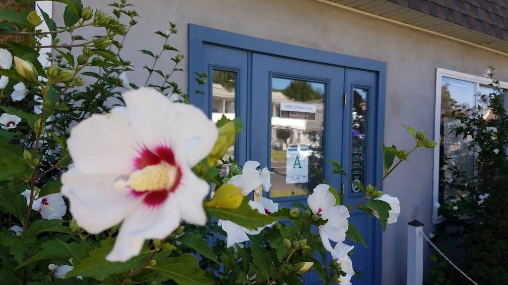 The Terrace - Savory Thai Cuisine | restaurant | 1559 Dixwell Ave, Hamden, CT 06514, USA | 2032302077 OR +1 203-230-2077