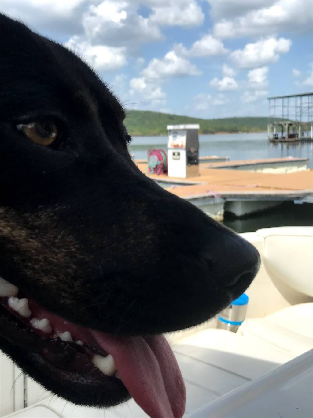 Barnacle Bills Marina | restaurant | 31979 S 516 Rd, Park Hill, OK 74451, USA | 9184575438 OR +1 918-457-5438