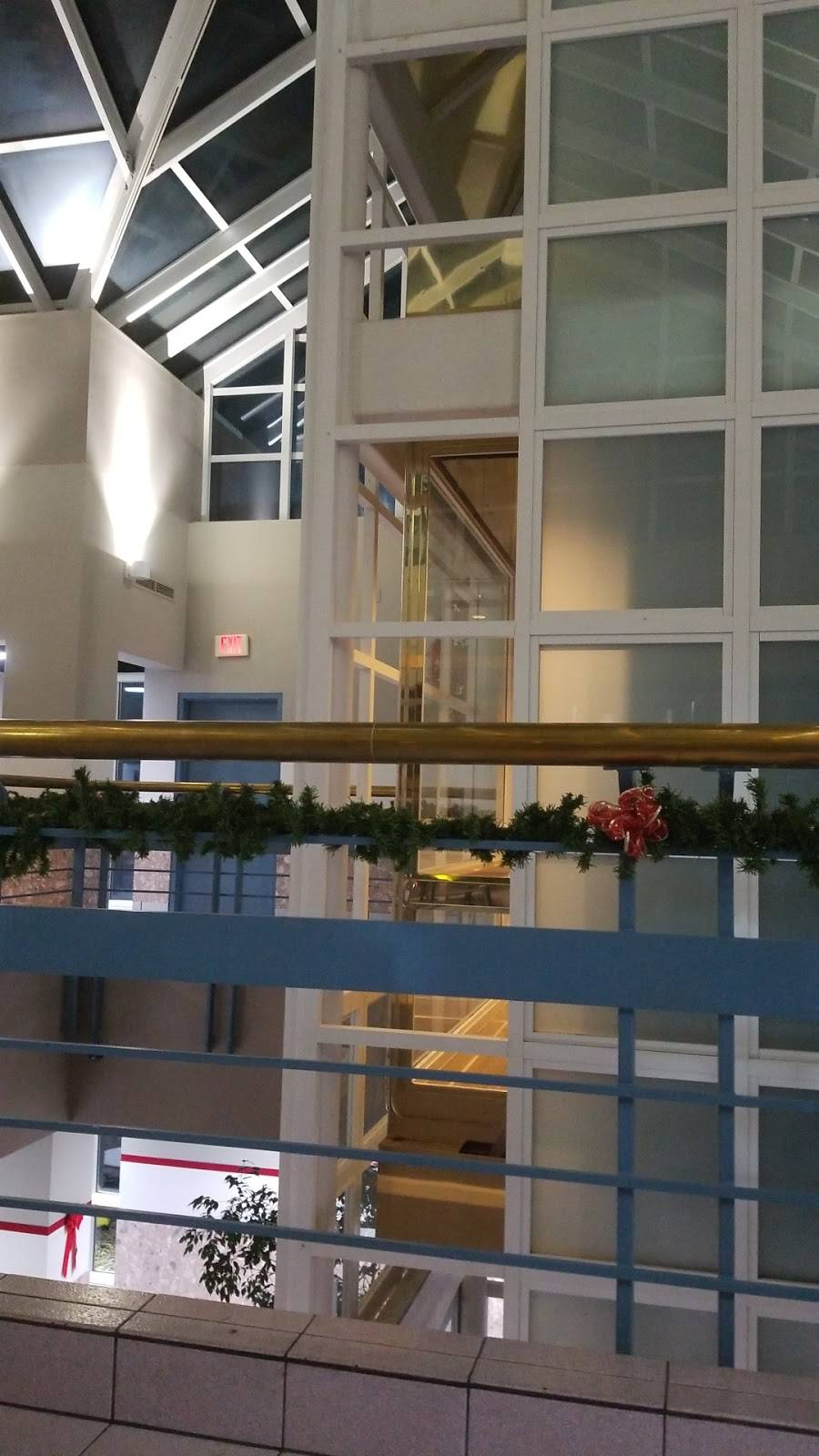 McDonalds | cafe | 162 North Rd, Warren, OH 44484, USA | 3308563611 OR +1 330-856-3611