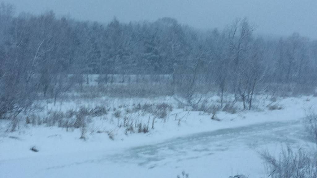 The Dock | restaurant | 50 WI-19, Waterloo, WI 53594, USA | 9204789787 OR +1 920-478-9787