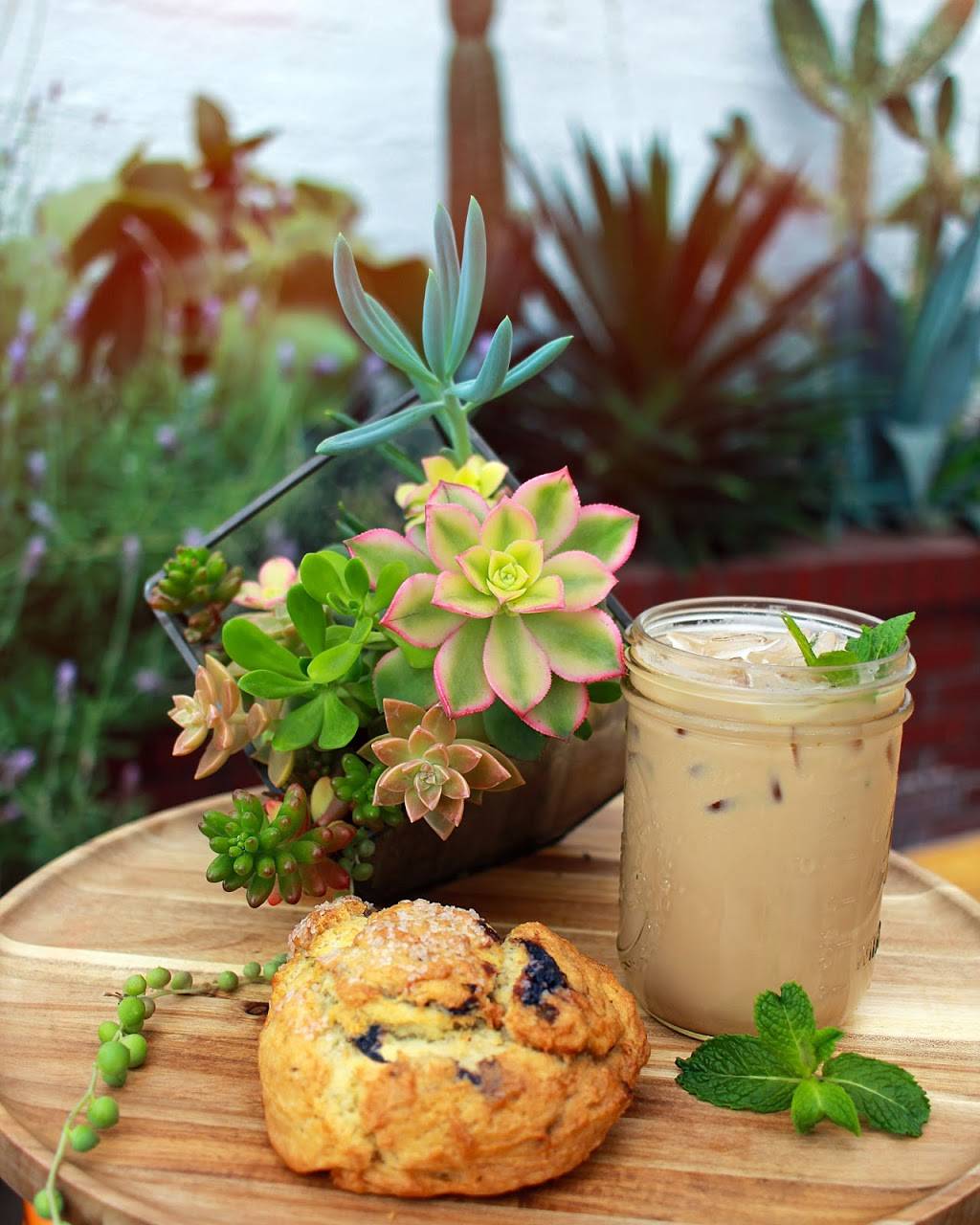 Cactus Coffee | meal takeaway | 2232 D St #102, La Verne, CA 91750, USA | 9092938481 OR +1 909-293-8481