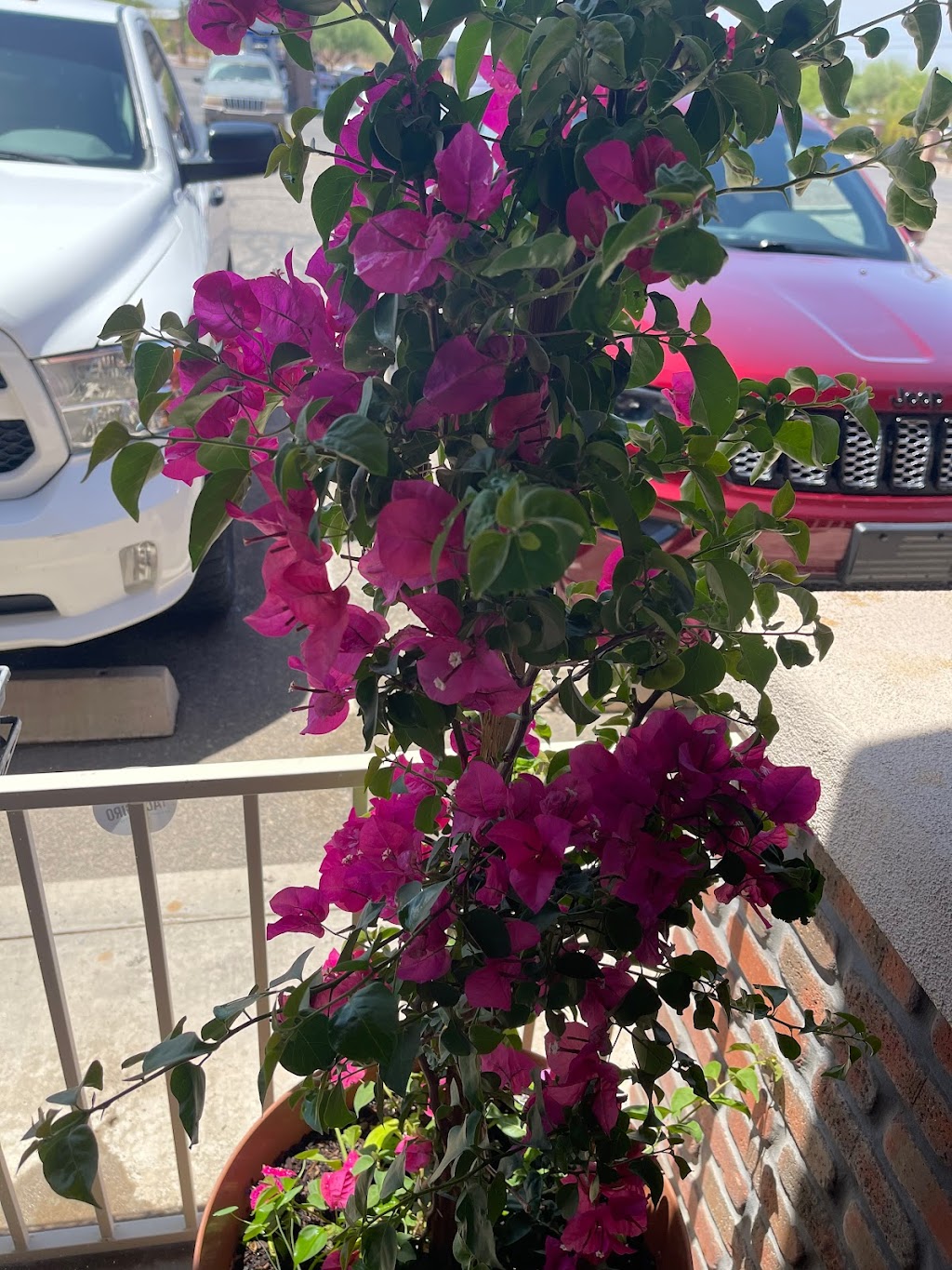 El Giro Food Truck 3 | restaurant | 13542 E Colossal Cave Rd, Vail, AZ 85641, USA | 5209125514 OR +1 520-912-5514