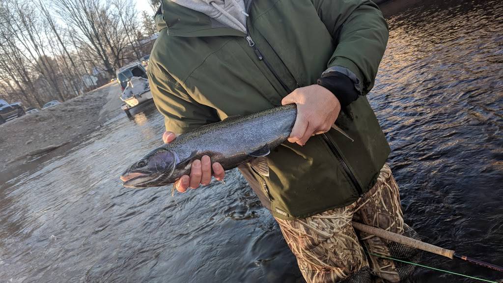 Salmon River Outfitters | restaurant | 44 Bridge St, Altmar, NY 13302, USA | 3152985442 OR +1 315-298-5442