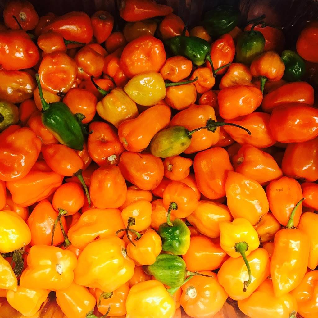 El Rey Meat Market | restaurant | 2430 Airline Dr, Houston, TX 77009, USA | 8328308090 OR +1 832-830-8090