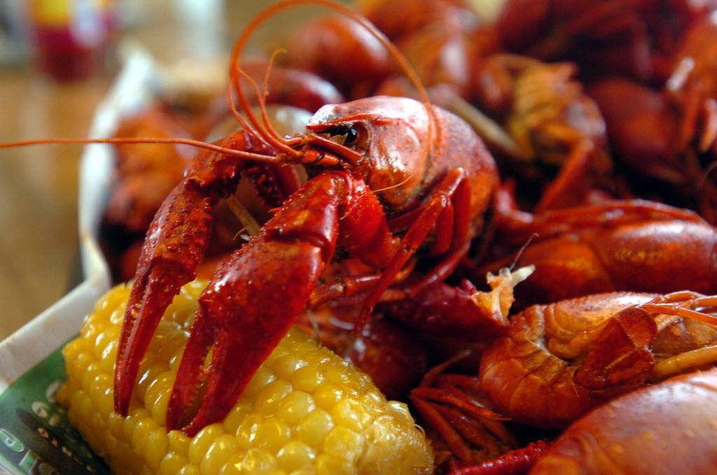 Baytown Crawfish Company and Catering | restaurant | 7730 Decker Dr, Baytown, TX 77520, USA | 2817160299 OR +1 281-716-0299