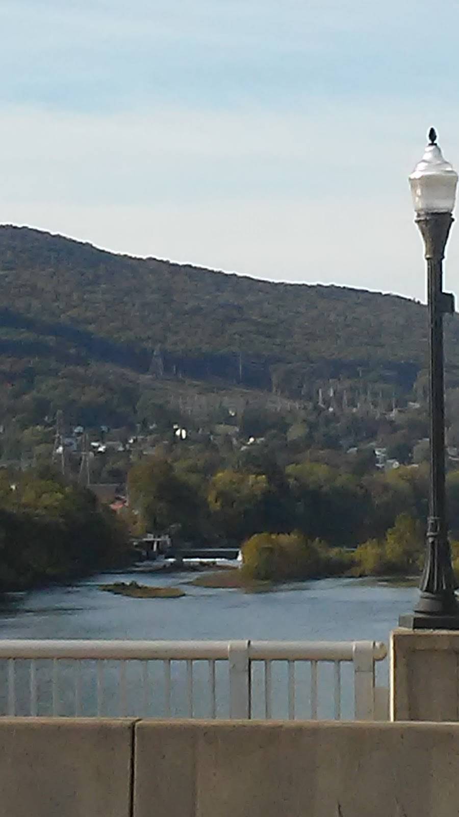 Mulberry Street Cafe | restaurant | 166 Mulberry St, Williamsport, PA 17701, USA | 5703229423 OR +1 570-322-9423