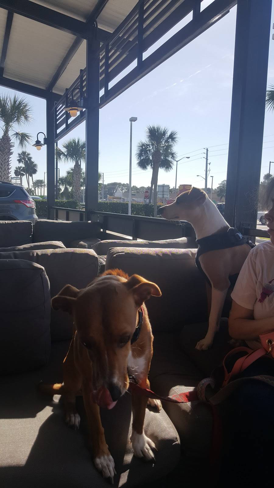 Starbucks | cafe | 327 Atlantic Blvd, Neptune Beach, FL 32266, USA | 9042427063 OR +1 904-242-7063