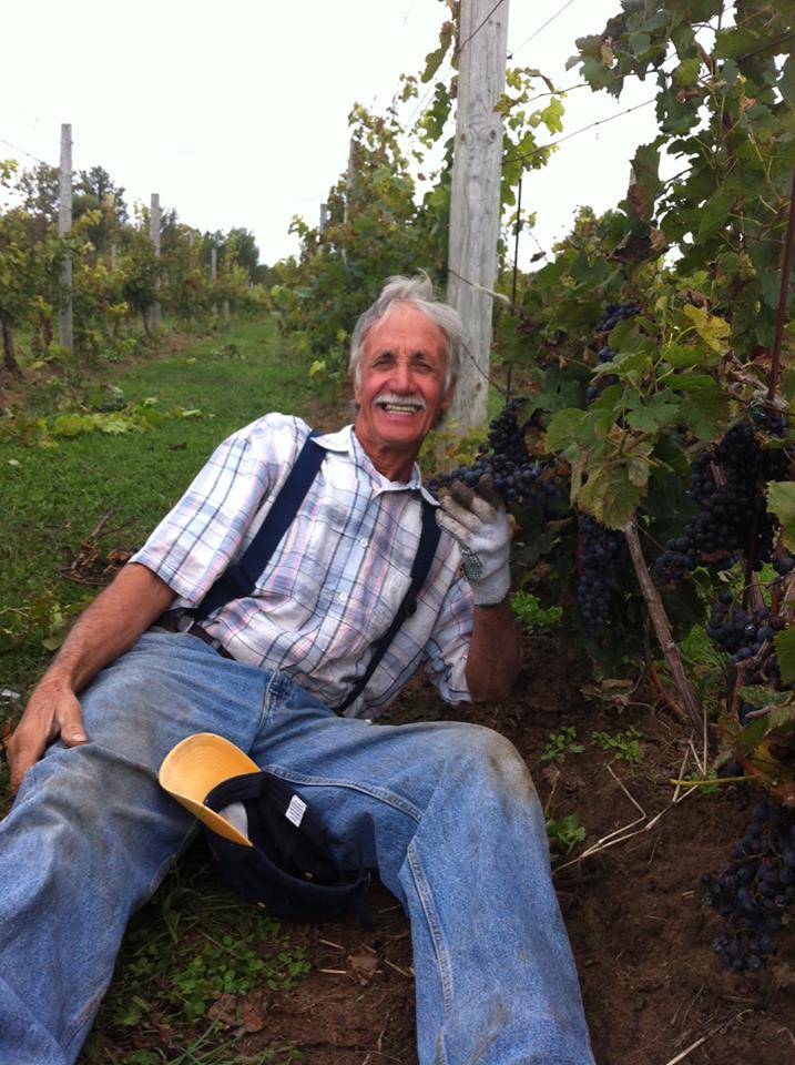 Paglione Estate Winery | restaurant | 724 County Road 50 E, Harrow, ON N0R 1G0, Canada | 5197380597 OR +1 519-738-0597