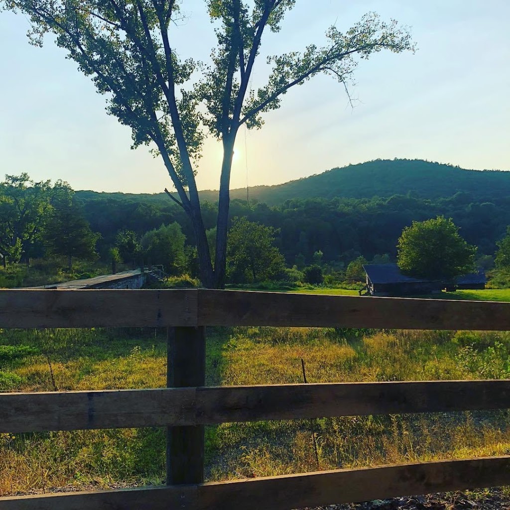 Dutchs Spirits | restaurant | 98 Ryan Rd, Pine Plains, NY 12567, USA | 5183981022 OR +1 518-398-1022