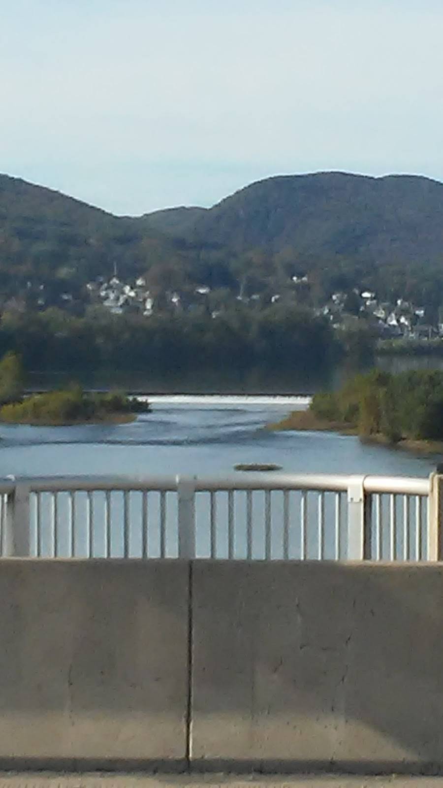 Mulberry Street Cafe | restaurant | 166 Mulberry St, Williamsport, PA 17701, USA | 5703229423 OR +1 570-322-9423