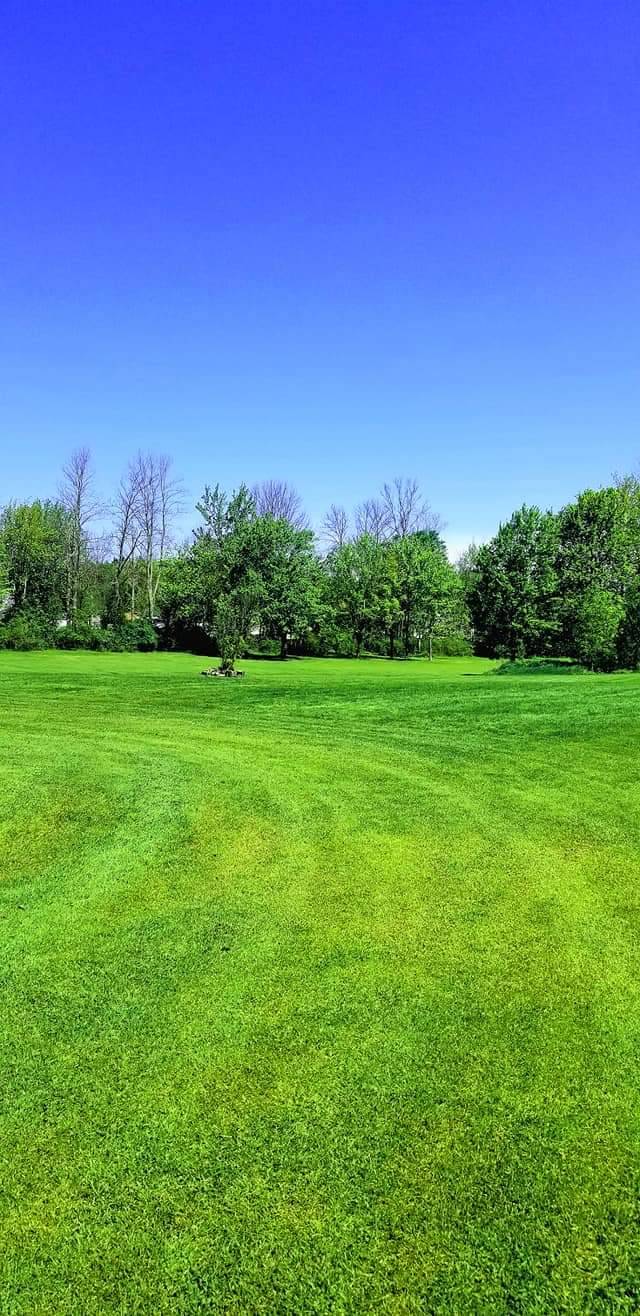 Grandview Bay Golf Course & The Lucy Goose Bar & Grill | restaurant | 9660, 444 Central Ave, Angola, NY 14006, USA | 7165494930 OR +1 716-549-4930