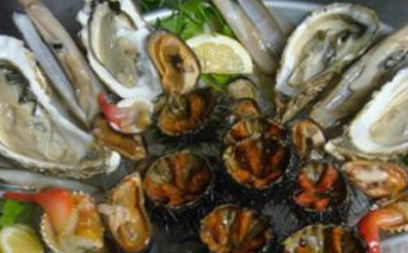 Ponte Mollo | restaurant | 96 Northern Blvd, Great Neck, NY 11021, USA | 5168290005 OR +1 516-829-0005