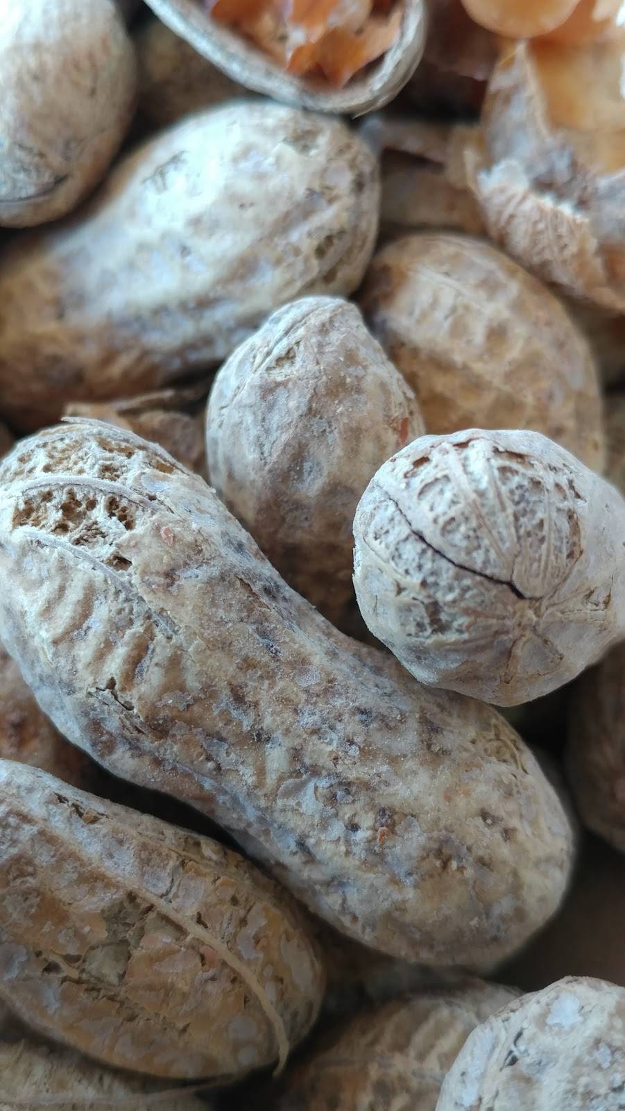 Five Guys | meal takeaway | 12515 Frederick St, Moreno Valley, CA 92553, USA | 9516560777 OR +1 951-656-0777