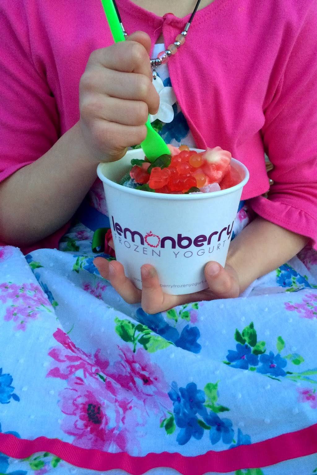 Lemonberry Frozen Yogurt | restaurant | 201 S Court St, Medina, OH 44256, USA | 3307210793 OR +1 330-721-0793