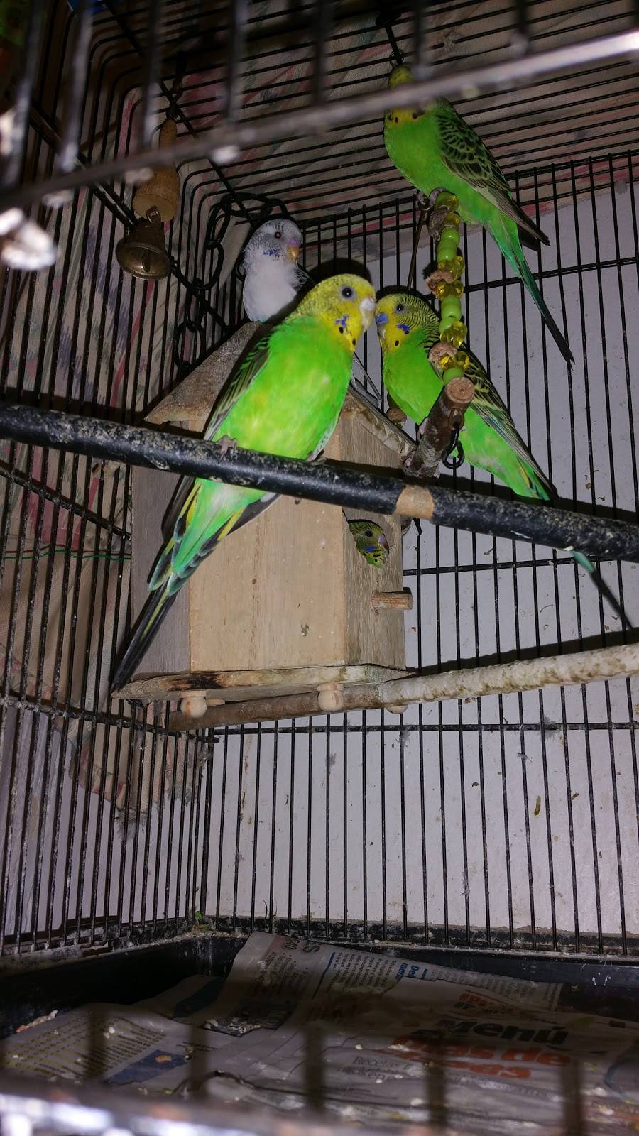 ZPA Cocktail Lounge | night club | 281 Grace St, Perth Amboy, NJ 08861, USA | 7324422660 OR +1 732-442-2660