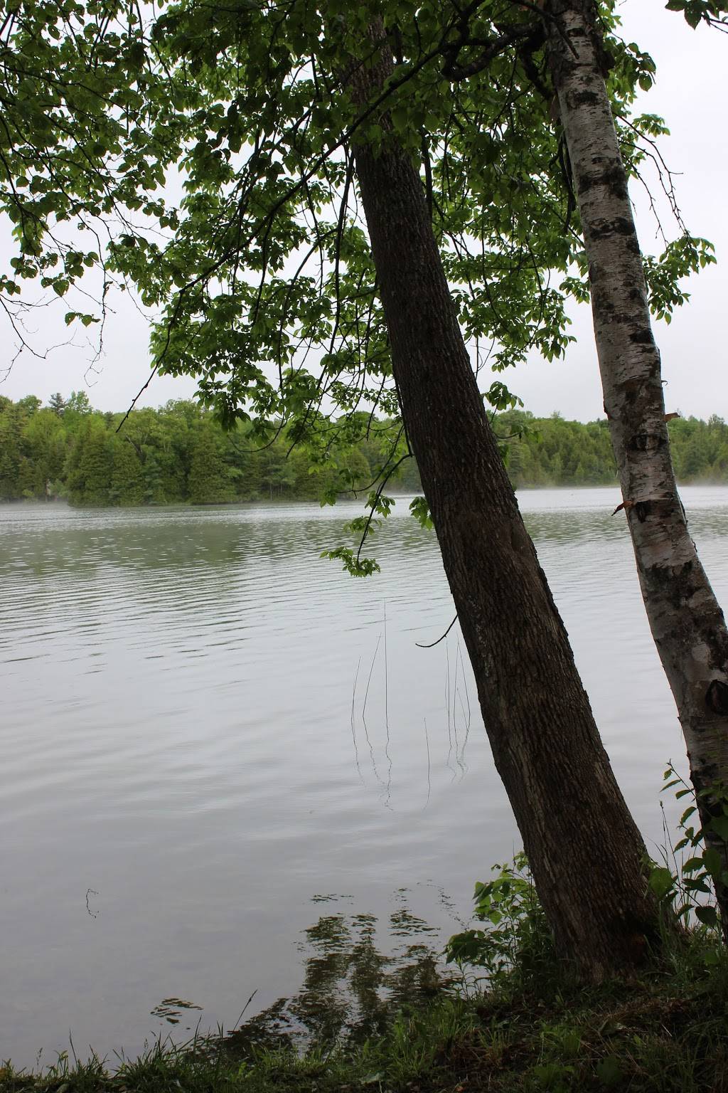 Homestead Resort Golf & Snowmobiling Resort |  | 263530 Southgate Township Road 26, Southgate, ON N0G 1R0, Canada | 5193693771 OR +1 519-369-3771