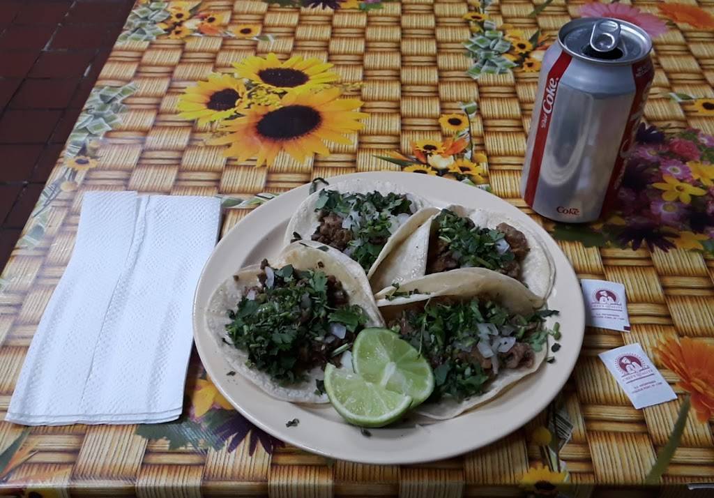 Tacos Garibaldi | restaurant | 3933, 10041 Laurel Canyon Blvd, Pacoima, CA 91331, USA | 8188997036 OR +1 818-899-7036