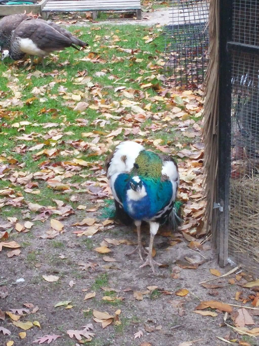 Stone Harbor Golf Club | restaurant | 905 U.S. 9, Cape May Court House, NJ 08210, USA | 6094659270 OR +1 609-465-9270