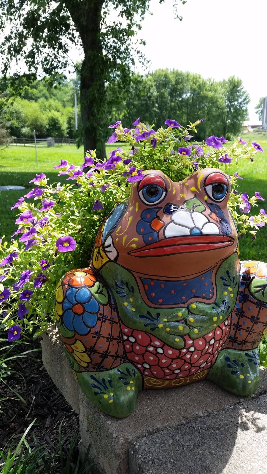 Brandeberry Winery | restaurant | 5118 W Jackson Rd, Enon, OH 45323, USA | 9377679103 OR +1 937-767-9103