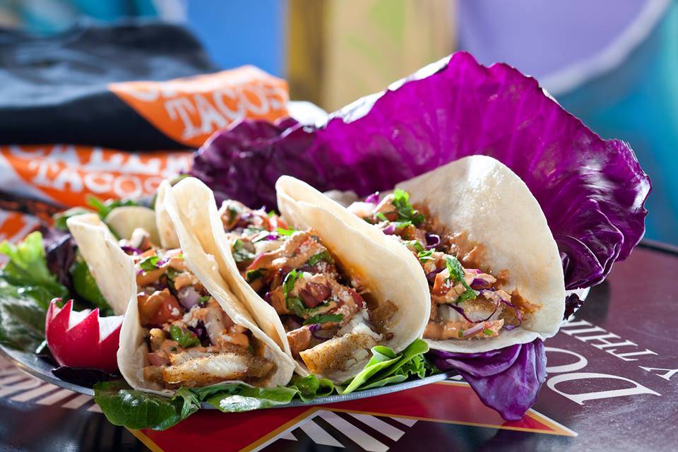 Calle Tacos | restaurant | 6508 Hollywood Blvd, Los Angeles, CA 90028, USA | 3234659100 OR +1 323-465-9100