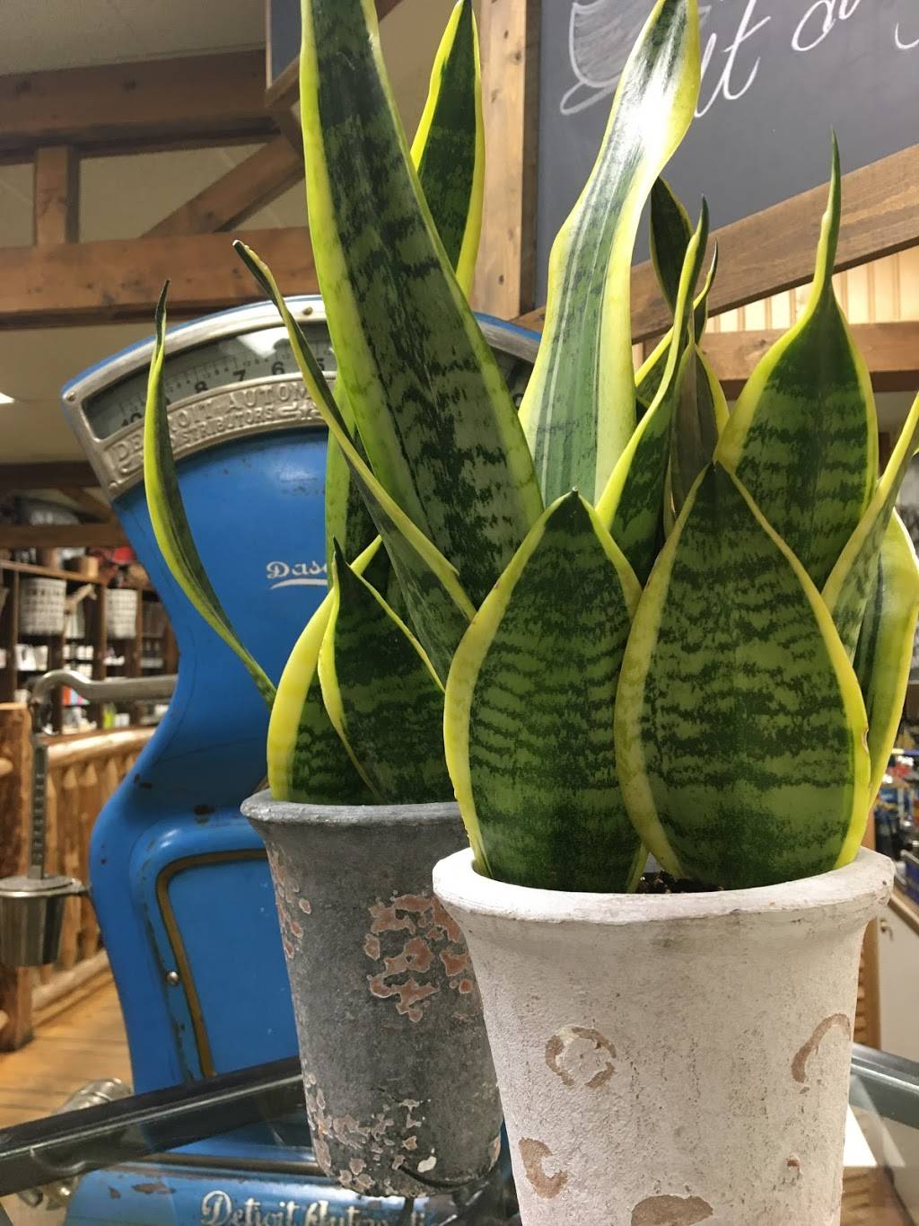 Gathering Grounds Coffee Cafe | bakery | 134 1st Ave S, Perham, MN 56573, USA | 2183467969 OR +1 218-346-7969