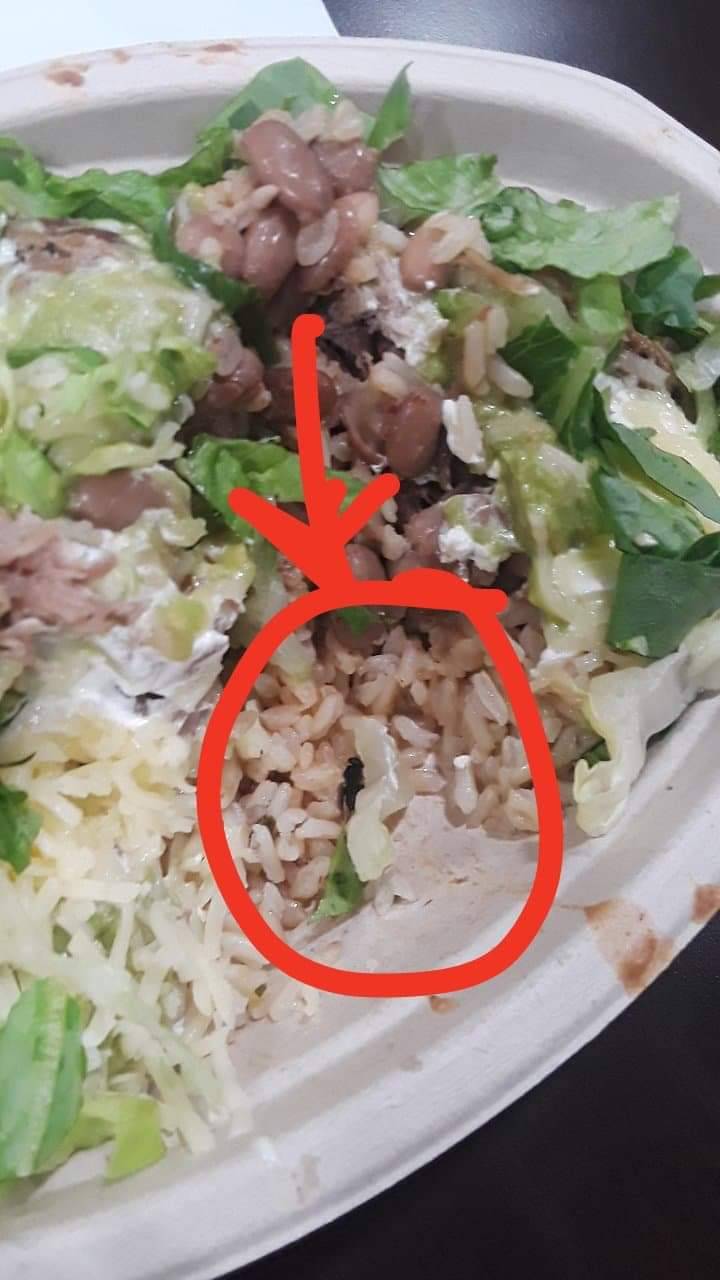 Chipotle Mexican Grill | restaurant | 13700 E Colfax Ave unit a, Aurora, CO 80011, USA | 3033442140 OR +1 303-344-2140